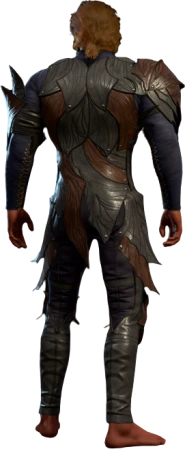 Penumbral Armour High Elf Back