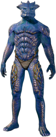 Bronze Underwear Dragonborn Front