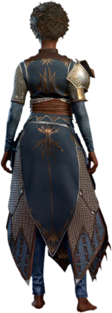 Chain Mail +2 Human Back