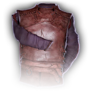 Leather Armour image