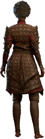 Ring Mail Armour +2 Human Back