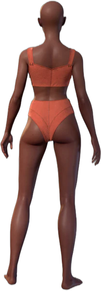 Underwear C Human Back