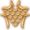 Draconic Resilience