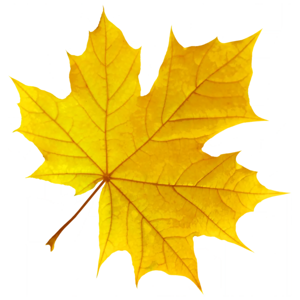 File:Sticker Env Leaf 1.webp