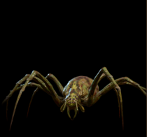 Conjured Spider.PNG