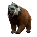 Bear Companion