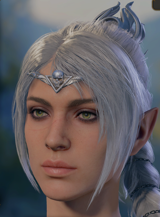 Appearance on level up screen