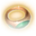 Ring of Poison Resistance Icon.png