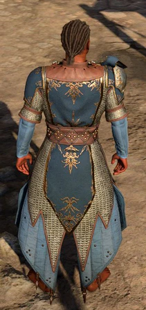 Chain Mail +2 worn by Wyll