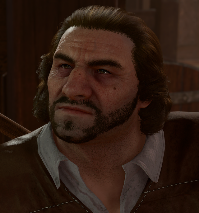 Bernyr - bg3.wiki