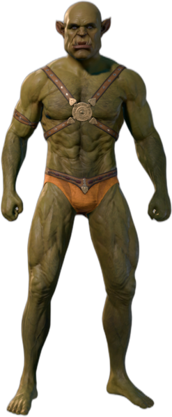 Half-Orc Male Front