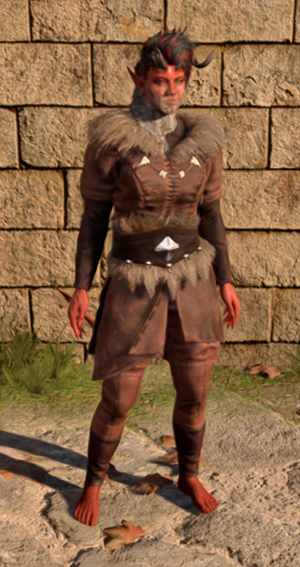 Barkskin Armour ingame female.png