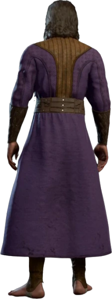File:Simple Robe Gale Back Model.webp - bg3.wiki