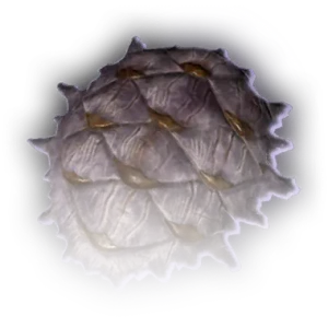 Mucoid Shell image