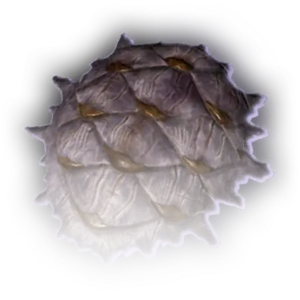 Mucoid Shell image
