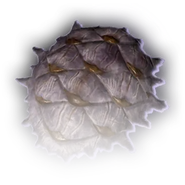 File:Mucoid Shell Icon.webp