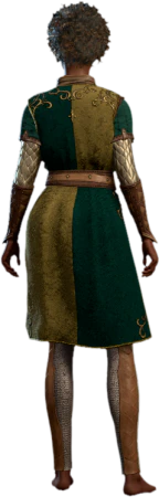 Scale Mail of the Ancients Human Back