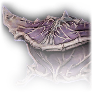 Cartilaginous Chest image