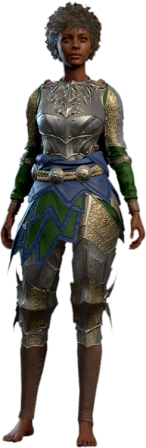 Plate Armour Human Front