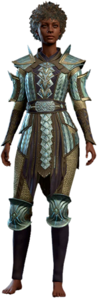File:Adamantine Scale Mail Human Front Model.webp - bg3.wiki