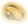 Ring of Absolute Force Icon.png