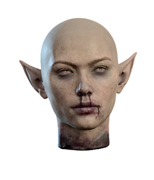 Model