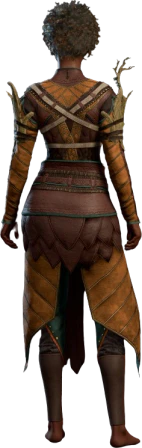 Druid Leather Armour Orange Human Back