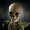 Skeleton