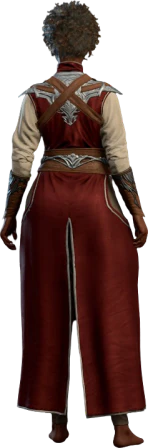 Sorcerer Robe Human Back