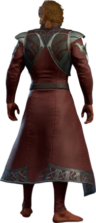 Infernal Robe Half-Elf Back