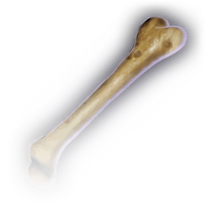 Bone (Uncommon) image