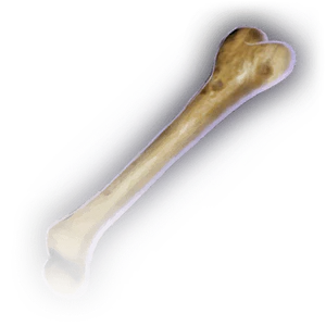 Bone (Uncommon) image