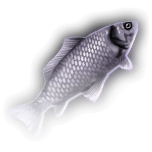 FOOD Fish A Faded.png