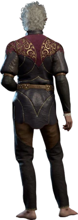 Padded Armour Astarion Bck