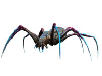 Aranea Aculeata Model.png