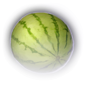 FOOD Sunmelon Faded.png