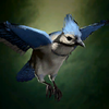 Portrait Bird.png