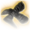 Spiderstep Boots Icon.png