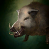Icon Boar.png