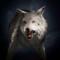 Portrait Wolf.png