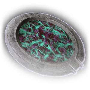 Vitriol of Putrefied Tumour image