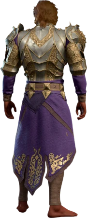 Plate Armour +1 High Elf Back