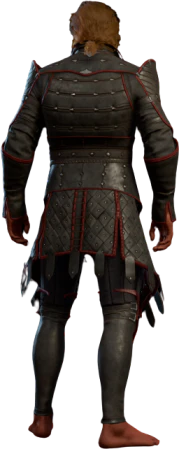 Bhaalist Armour High Elf Back