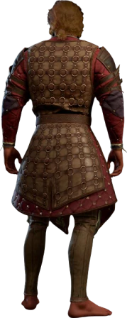 Ring Mail Armour +1 High Elf Back