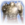 Flawed Helldusk Armour Icon.png