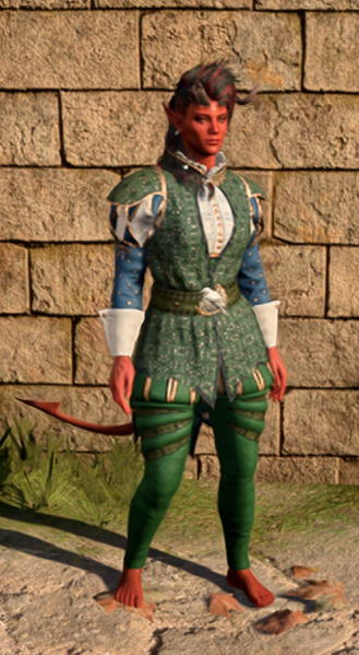 File:Blazer of benevolence in game female.png
