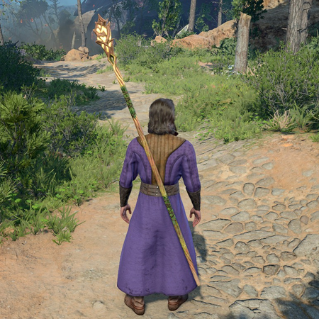Appearance in game
