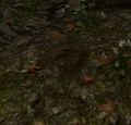 Thumbnail for version as of 21:45, 21 July 2026
