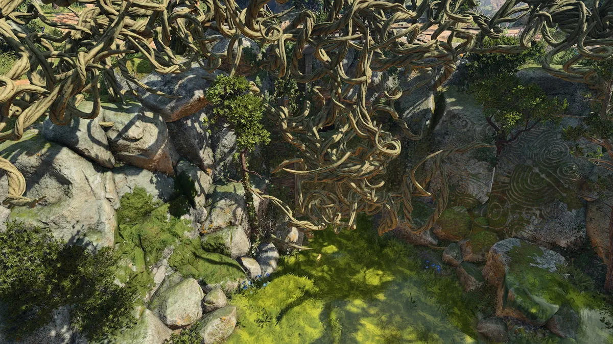 Rite of Thorns - bg3.wiki