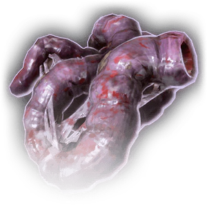 Purple Worm Gullet image